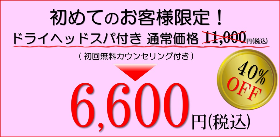 小顔歪み矯正 プリュムレーヴ 初回お試し価格 40%off