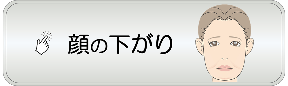 滋賀県守山市の小顔矯正&オーガニックハーブティーの店 若返り専門サロン プリュムレーヴ | こんなお悩みはありませんか？ 顔の下がり