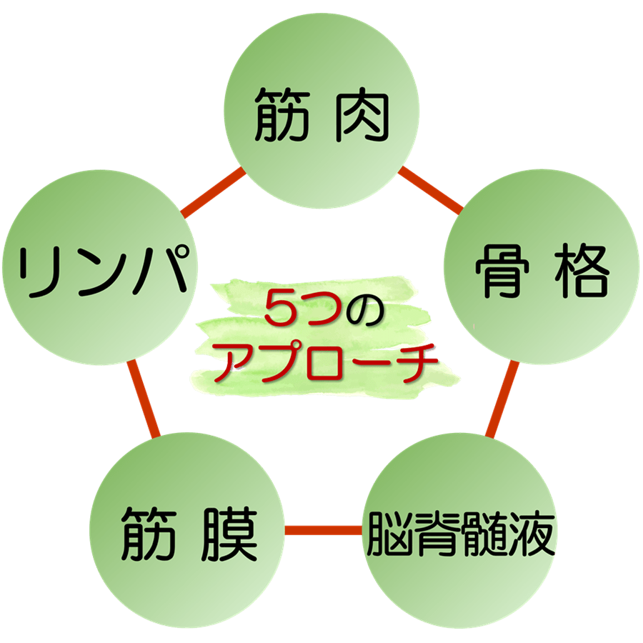 滋賀県守山市の小顔矯正&オーガニックハーブティーの店 若返り専門サロン プリュムレーヴ | 見た目年齢を変える5つのアプローチ